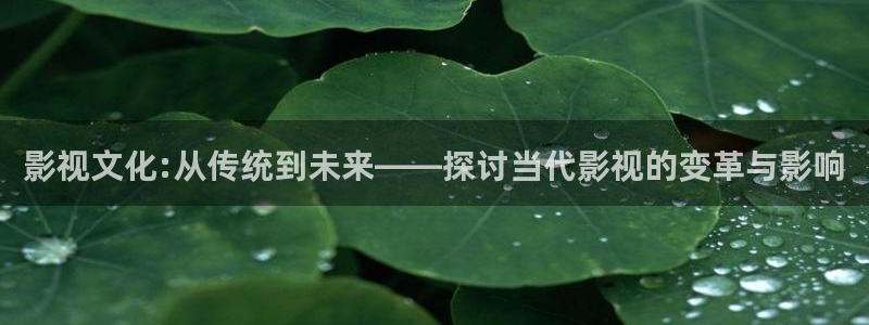 www.飘花电影网：影视文化:从传统到未来——探讨当代影视的变革与影响