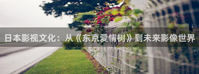 色戒飘花影院：日本影视文化：从《东京爱情树》到未来影像世界