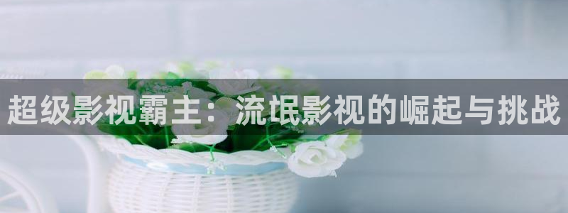 电影网飘花：超级影视霸主：流氓影视的崛起与挑战