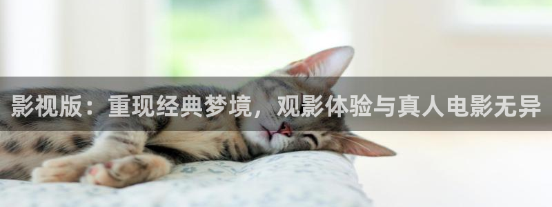 飘花影院日韩：影视版：重现经典梦境，观影体验与真人电影无异