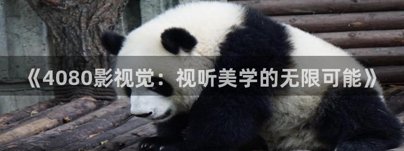 飘花伦理：《4080影视觉：视听美学的无限可能》