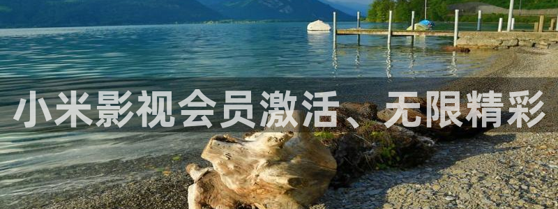 飘花电影 伦理：小米影视会员激活、无限精彩