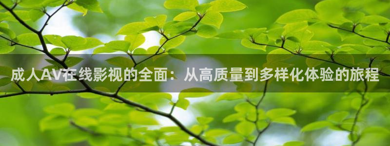 飘花电影电脑在线观看：成人AV在线影视的全面：从高质量到多样化体验的旅程