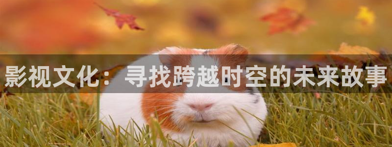 飘花影院理论理论片
