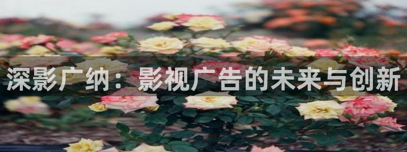 电影天堂飘花电影