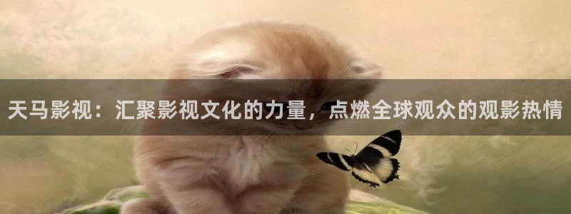 飘花电影院伦理