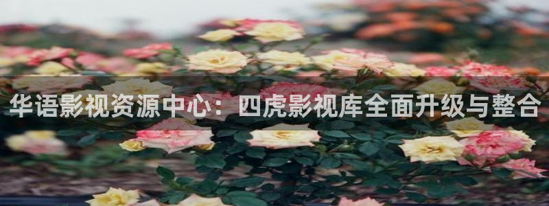 飘花电影 在线观看：华语影视资源中心：四虎影视库全面升级与整合
