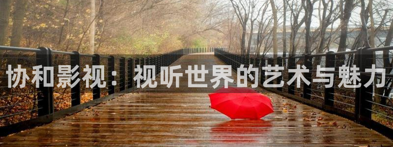 飘花大片：协和影视：视听世界的艺术与魅力