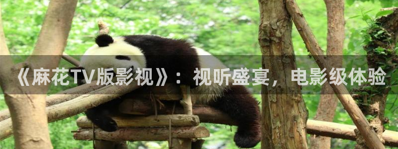 飘花影院午夜伦理：《麻花TV版影视》：视听盛宴，电影级体验